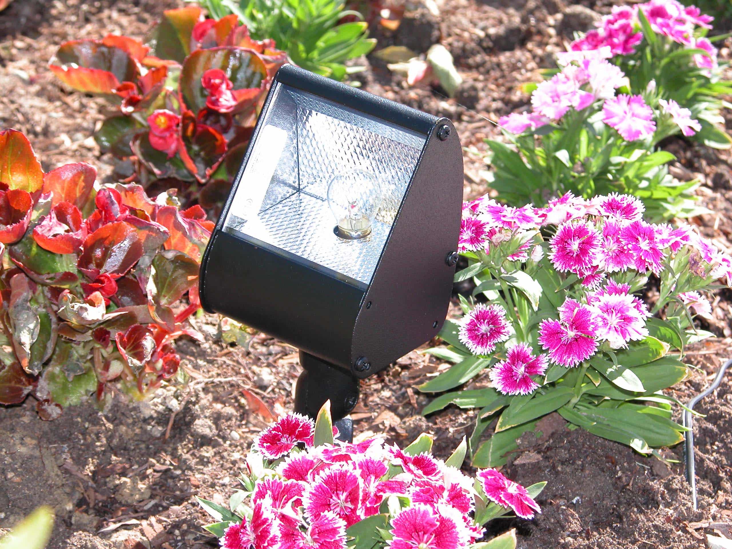 LED 3.5" Flood Light 3 Watts
