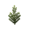 Eagle Frasier Christmas Tree (Pre-Lit) Warm White 14′