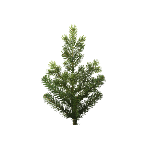 Pre-Lit 14′ Warm White, Eagle Frasier Christmas Tree