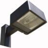 15' Square Straight Pole Double Fixture Light Package 100W MH PS Parking/Roadway