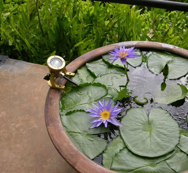 Fountain Brass Underwater Light Angle Cap (No Bracket)