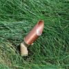 Copper Bullet Light No Shield