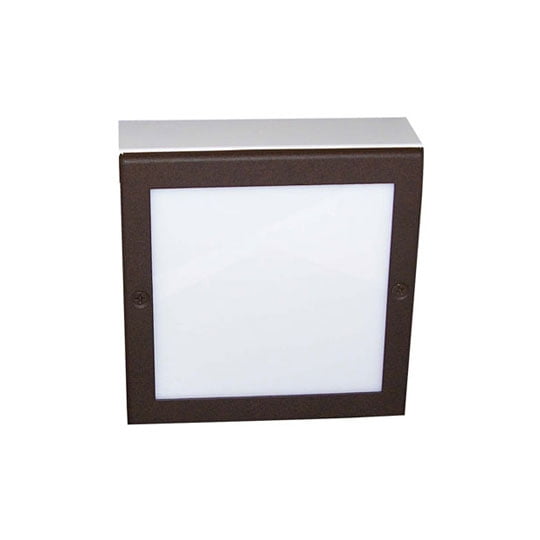 LED Paver Light 4" x 8"