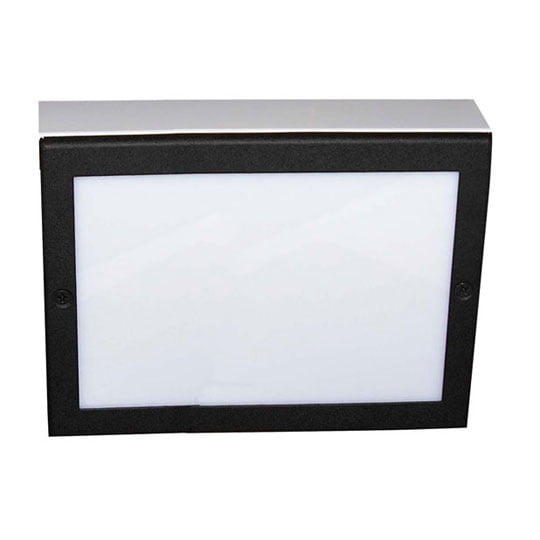 LED Paver Light 4" x 8"
