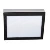 LED Paver Light 6" x 6"