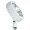 LED Economy Flood Light 3000K (Warm)