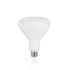 LED BR Bulb 13 Watts 5000K (Cool White)