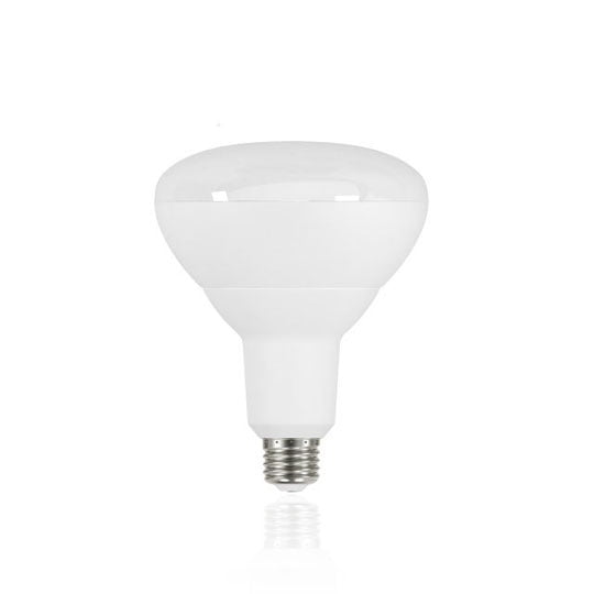 LED BR Bulb 13 Watts 5000K (Cool White)