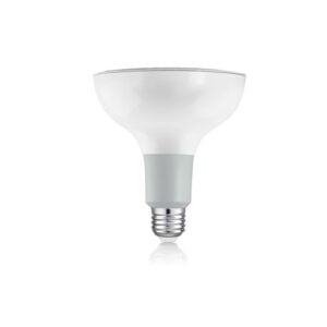 i2 LED PAR 38 5000K (Cool White)