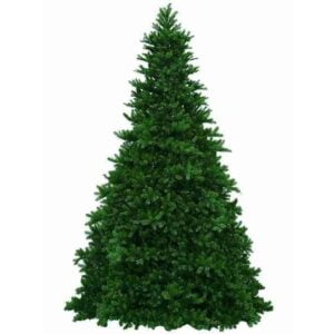 Grand Teton Christmas Tree 38′ Unlit