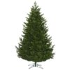 Eagle Frasier Christmas Tree, Unlit