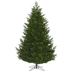 Unlit 14′ Eagle Fraser Christmas Tree