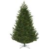 Eagle Frasier Christmas Tree (Pre-Lit) Warm White 12′