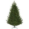 Eagle Frasier Christmas Tree (Pre-Lit) Warm White 14′