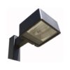 30' Square Straight Pole Double Fixture Light Package (90 Degrees) 400 Watts Type III