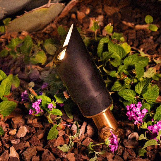 LED Acadia Directional Light