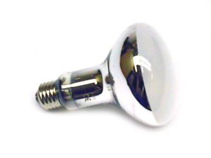 Mercury Vapor Light Bulb