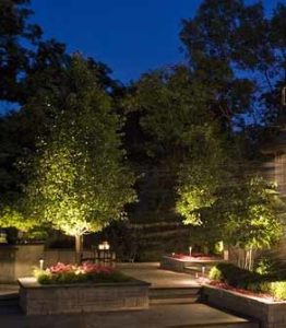 Landscape Lighting