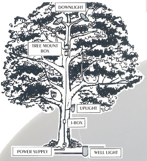 Mercury Vapor Tree Lighting