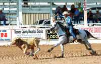 Rodeo Arena Lighting