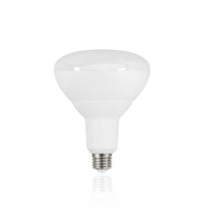 LED BR Bulb