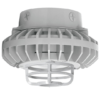 Ceiling Mount LED Hazardous Fixture 26 Watts