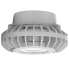 Pendant Mount LED Hazardous Fixture 42 Watts