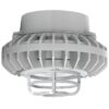 Pendant Mount LED Hazardous Fixture 42 Watts