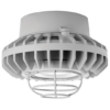 Pendant Mount LED Hazardous Fixture 42 Watts