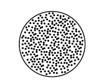Replacement Cracked Lens for AL09