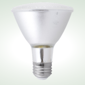 Landscape PAR30 LUV Lamp