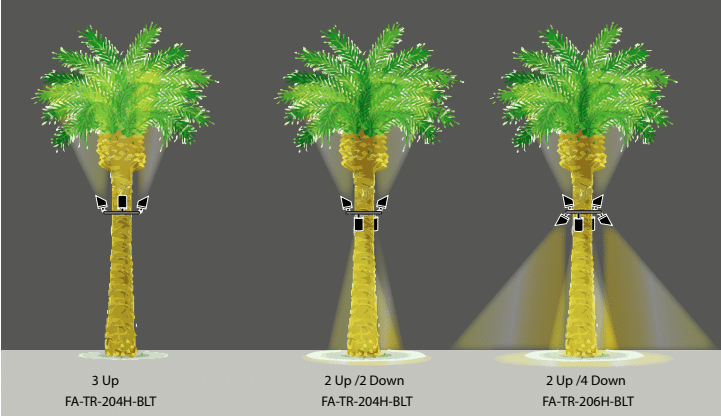 Focus Tree Ring