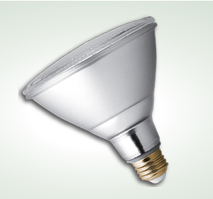 Landscape PAR38 LUV LAMP