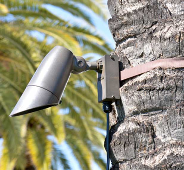Tree Canopy Mount with Straps